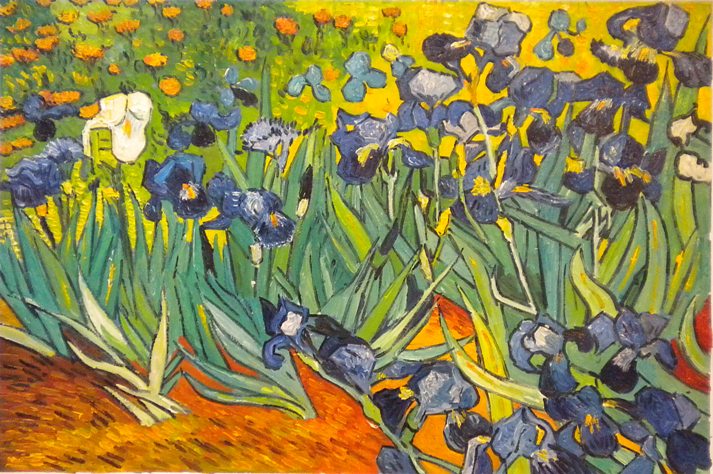 store falso d'autore Campo de Iris di Vincent Van Gogh